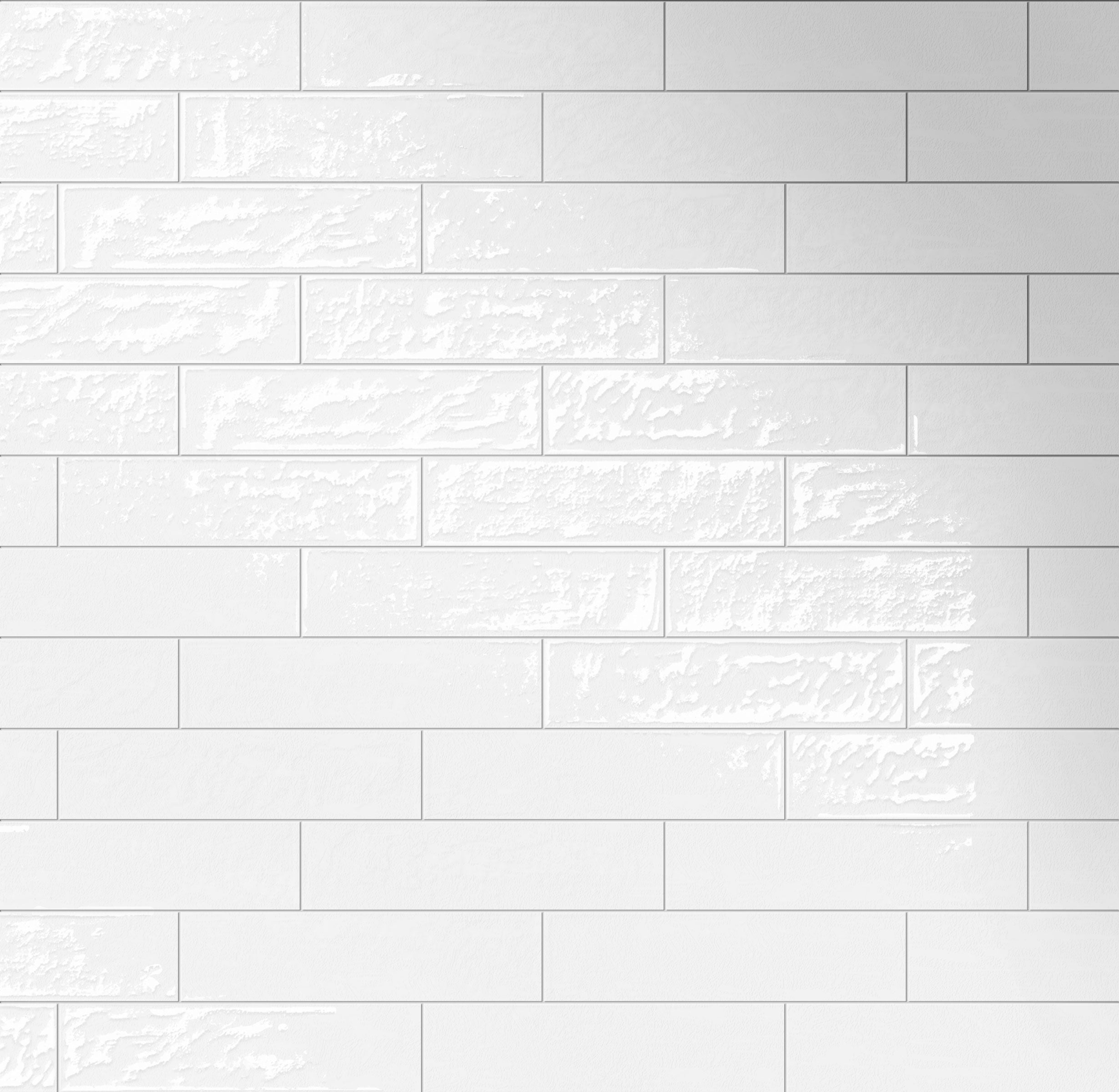 Playful 6x24 Glossy Porcelain Tile in Arctic