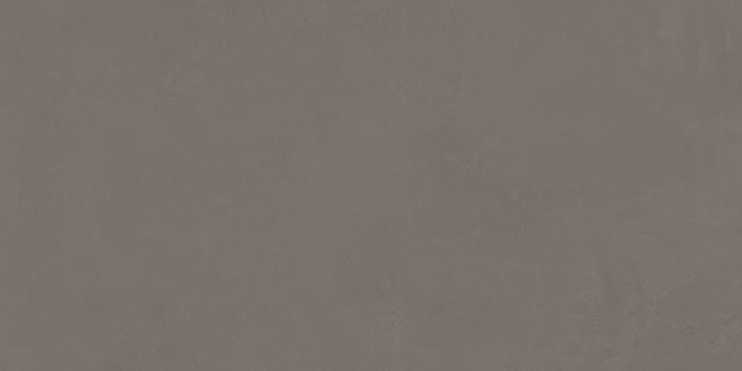 Daydream™ 24x48 Matte Porcelain Tile in Fog