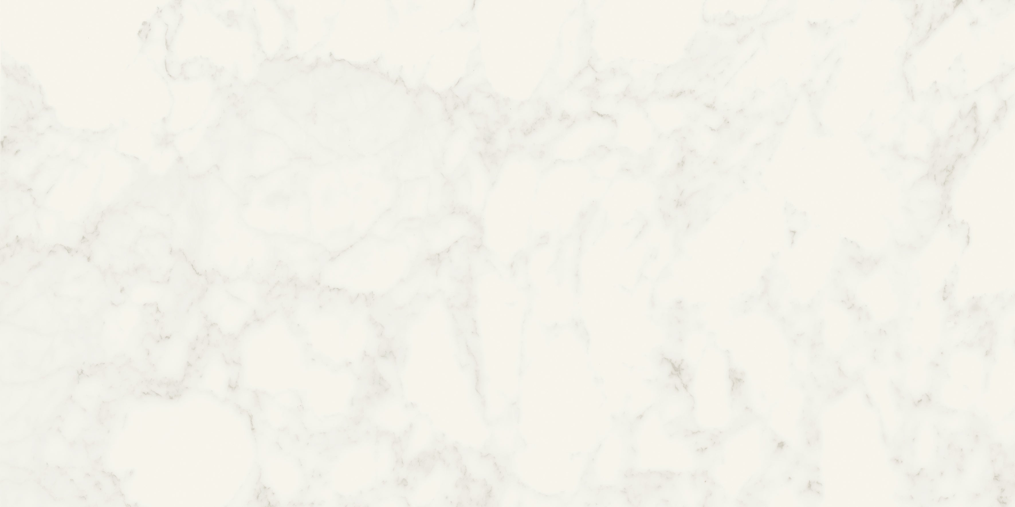 JEM 24x48 Matte Porcelain Tile in Adagio White