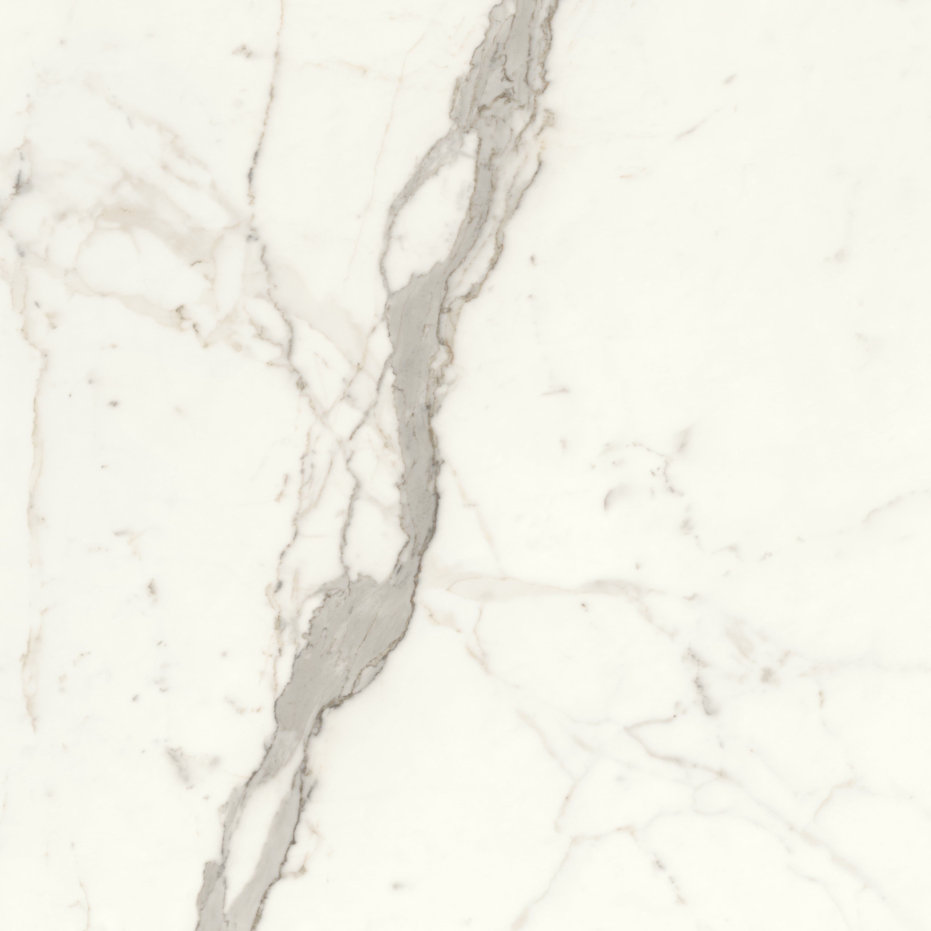 JEM 48x48 Matte Porcelain Tile in Capriccio Grey