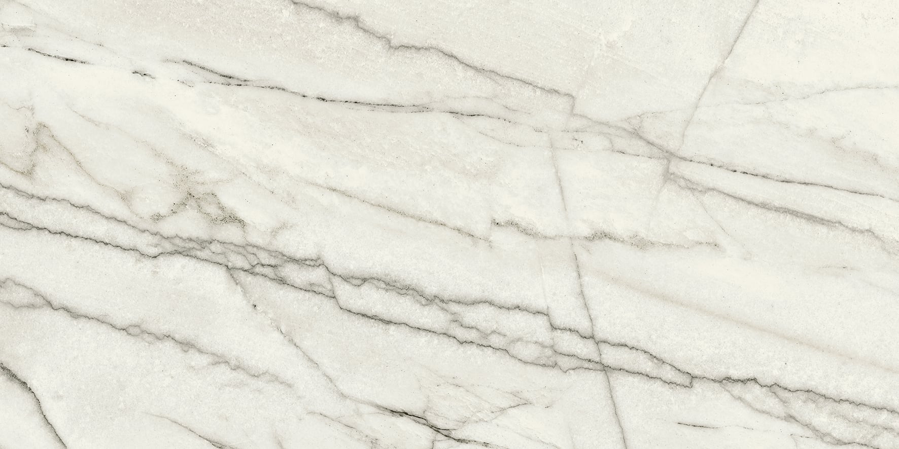 JEM 12x24 Polished Porcelain Tile in Forte White