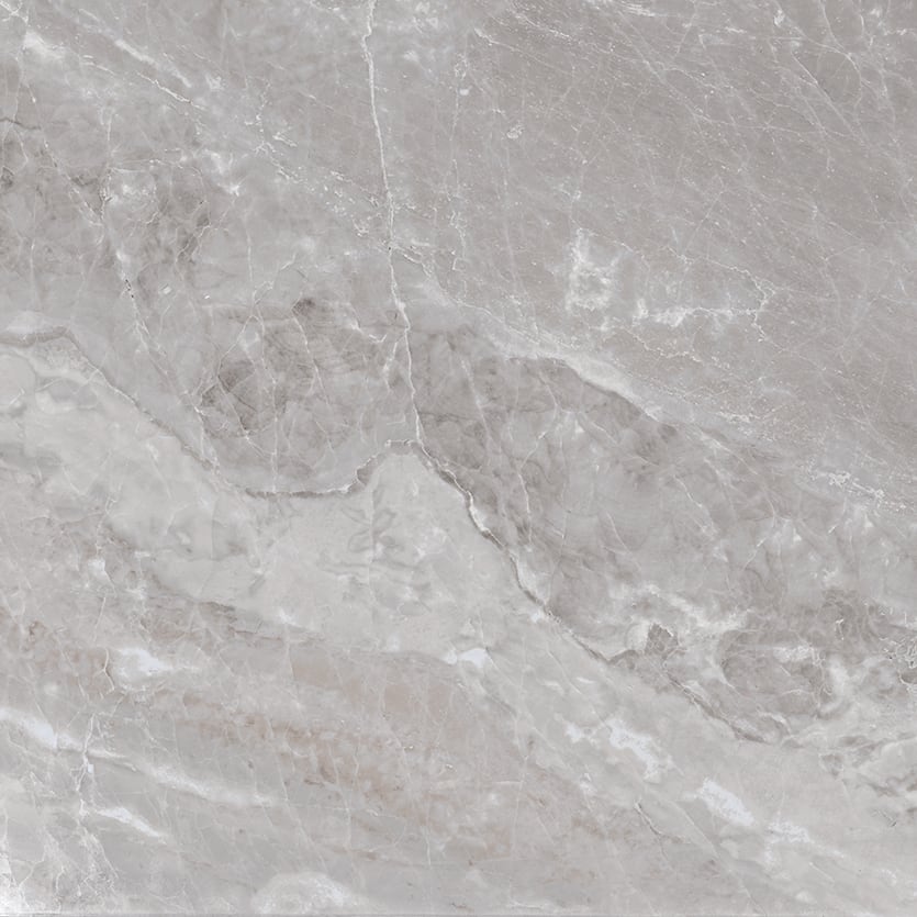 Marbles 24x24 Matte Porcelain Tile in Oniciata Grey
