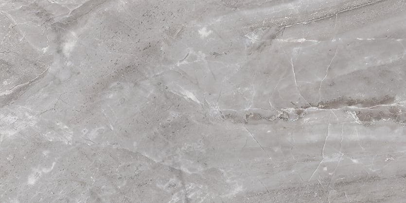 Marbles 24x48 Matte Porcelain Tile in Oniciata Grey