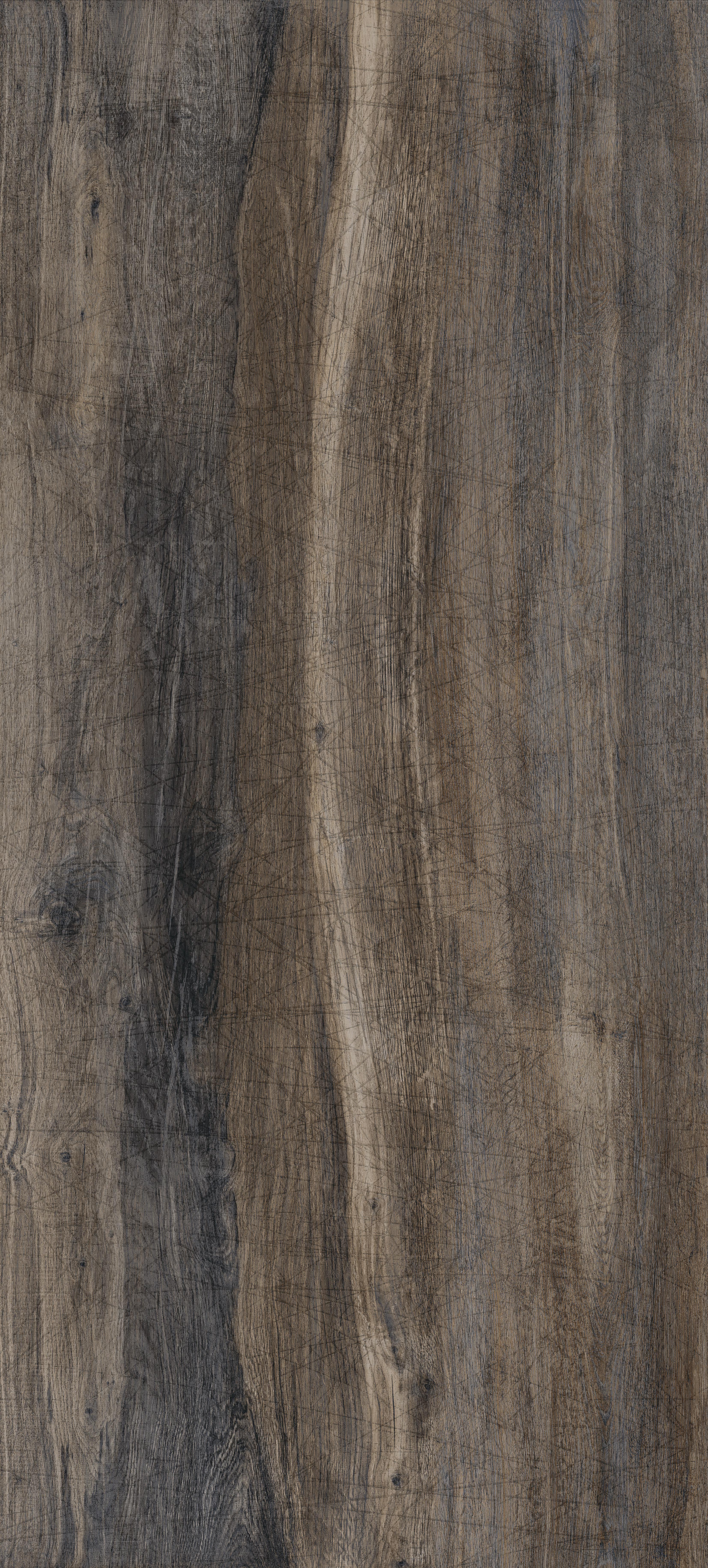 Untamed™ 48x110 Matte Porcelain Tile in Drift Plank