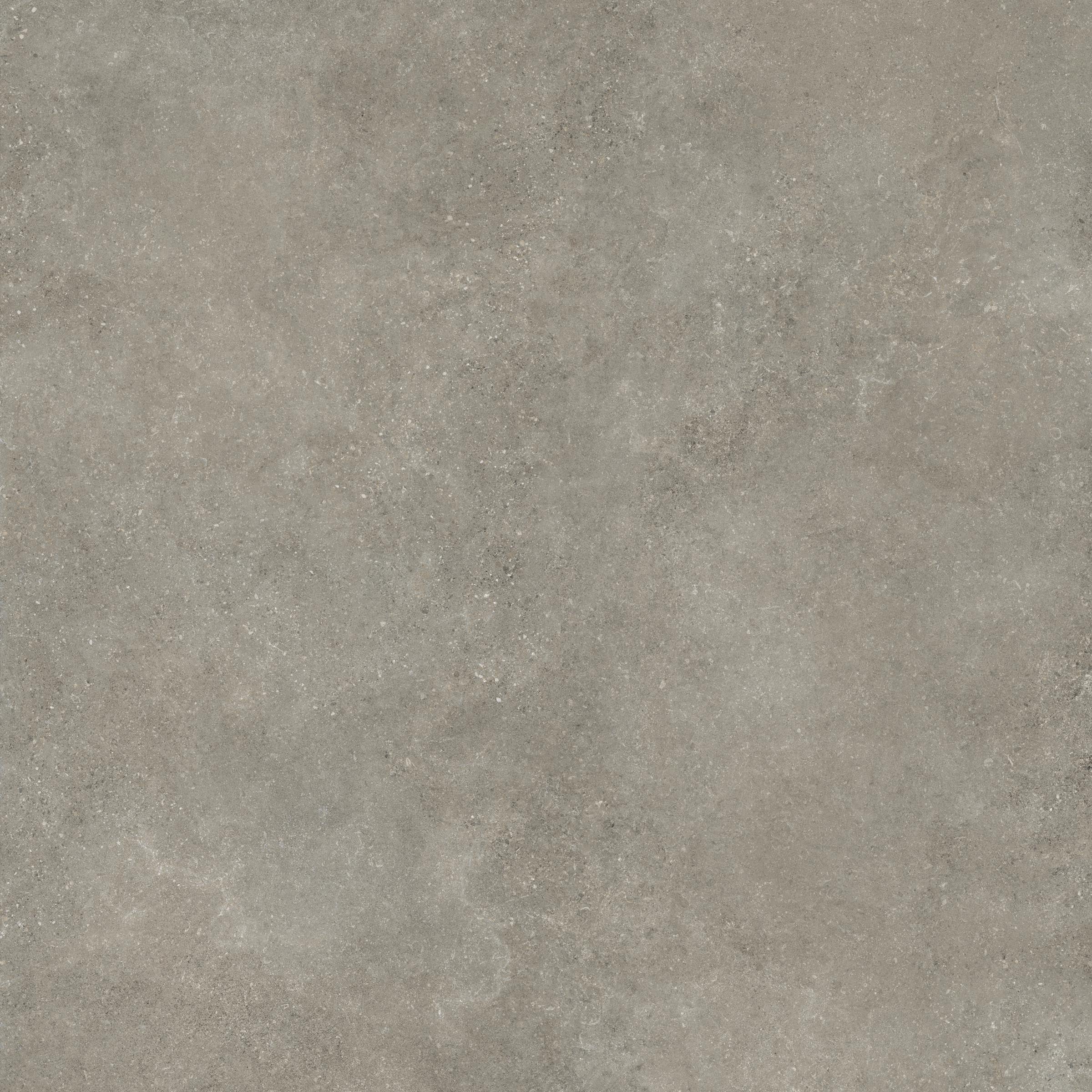 Untamed™ 48x48 Matte Porcelain Tile in Wander Ash