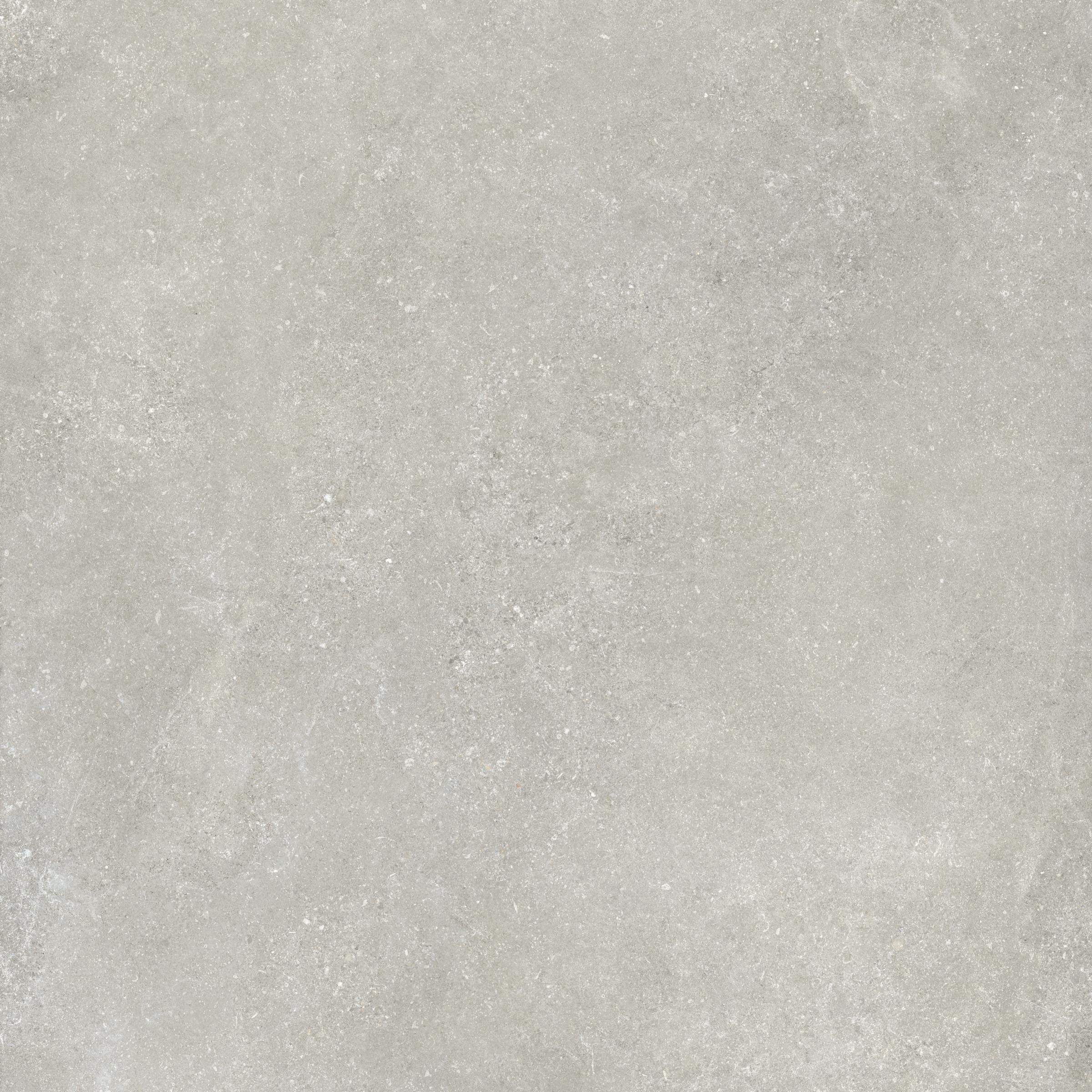Untamed™ 48x48 Matte Porcelain Tile in Wander Cool