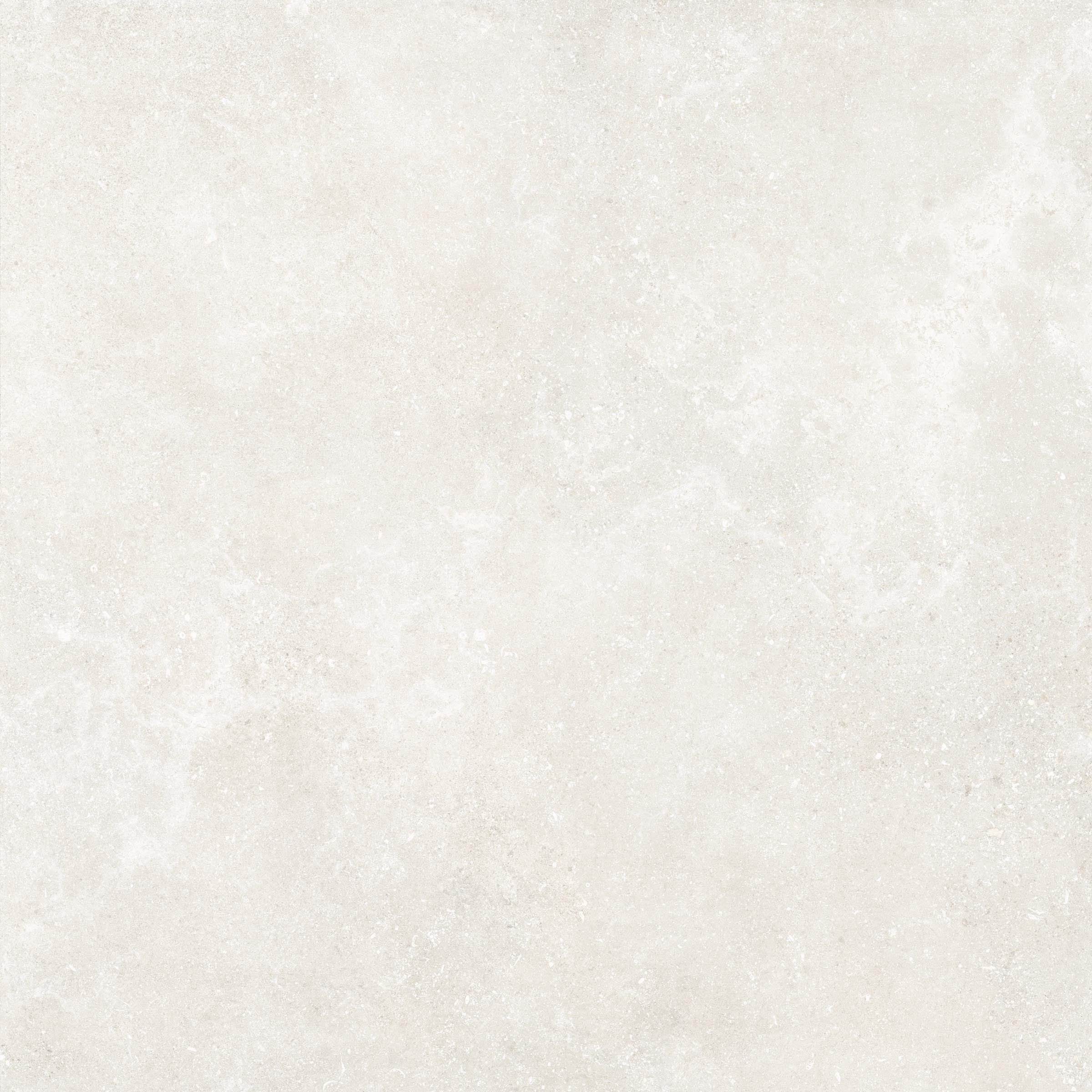 Untamed™ 48x48 Matte Porcelain Tile in Wander White