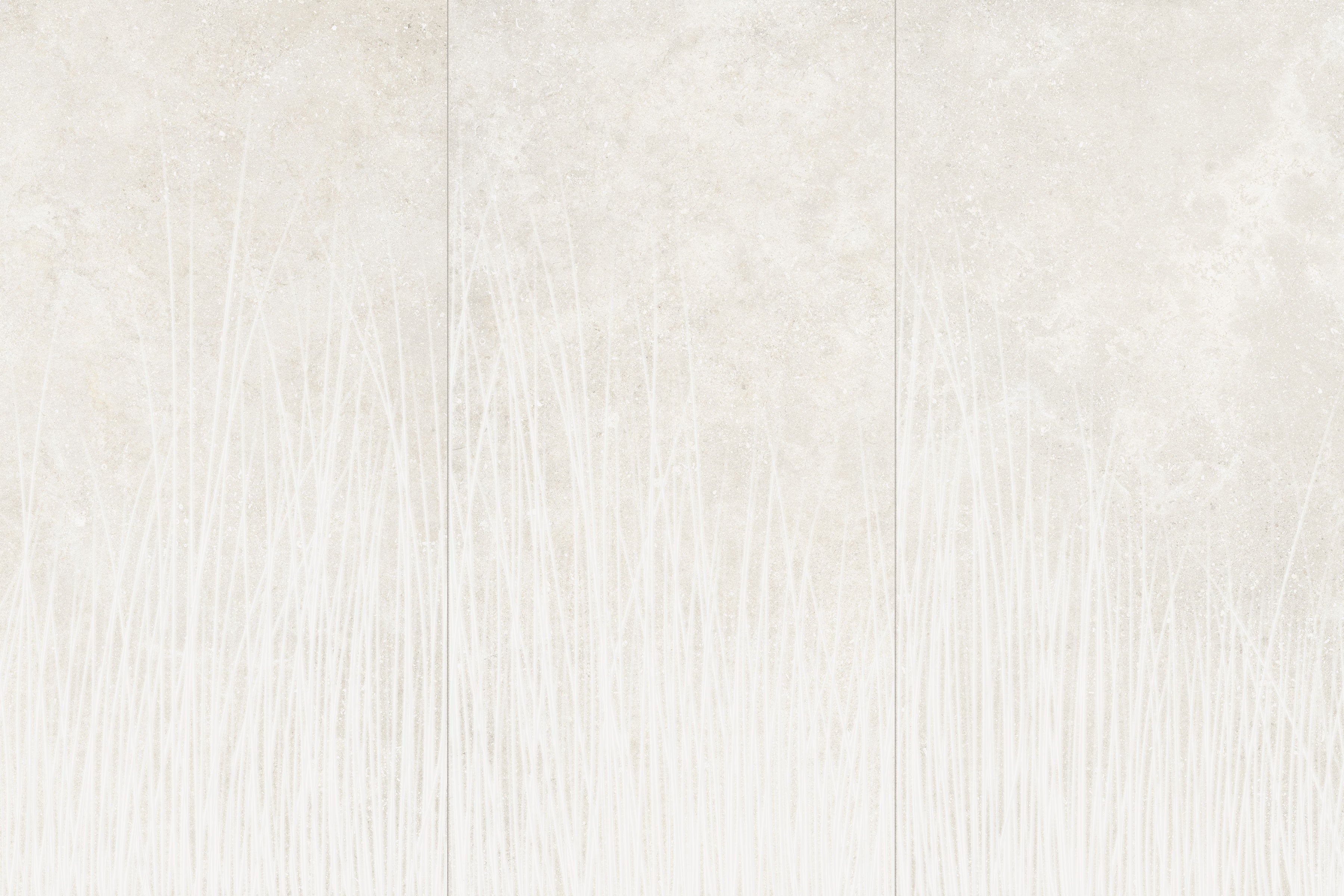 Untamed™ 24x48 Matte Porcelain Tile in Flourish White