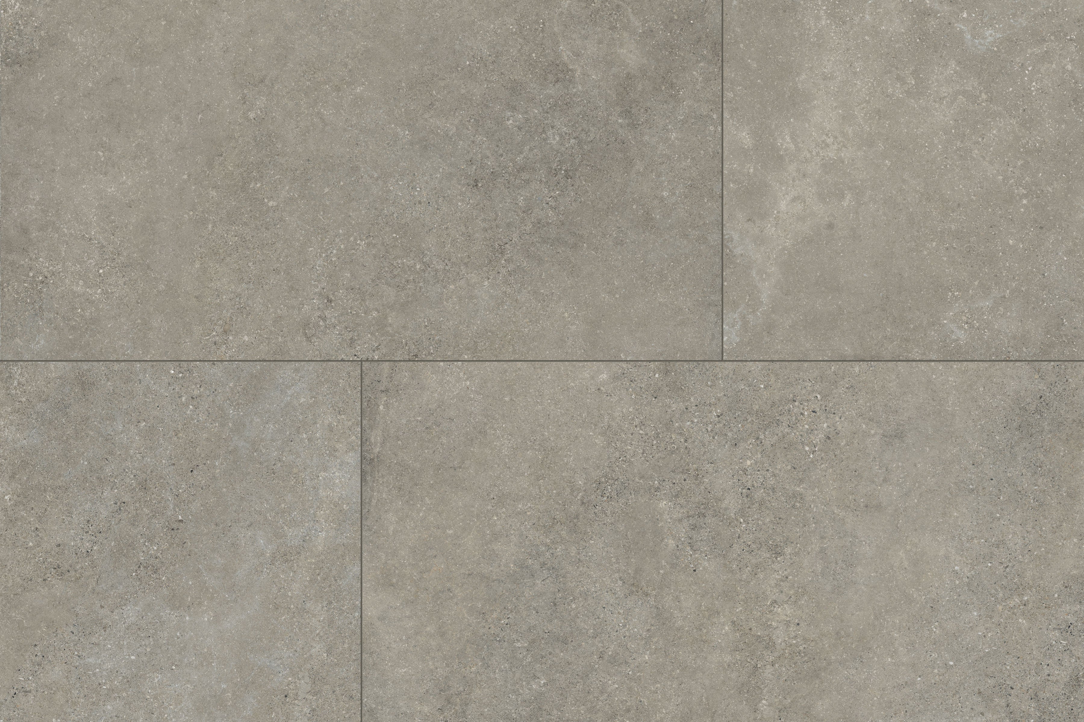 Untamed™ 24x48 Matte Porcelain Tile in Wander Ash