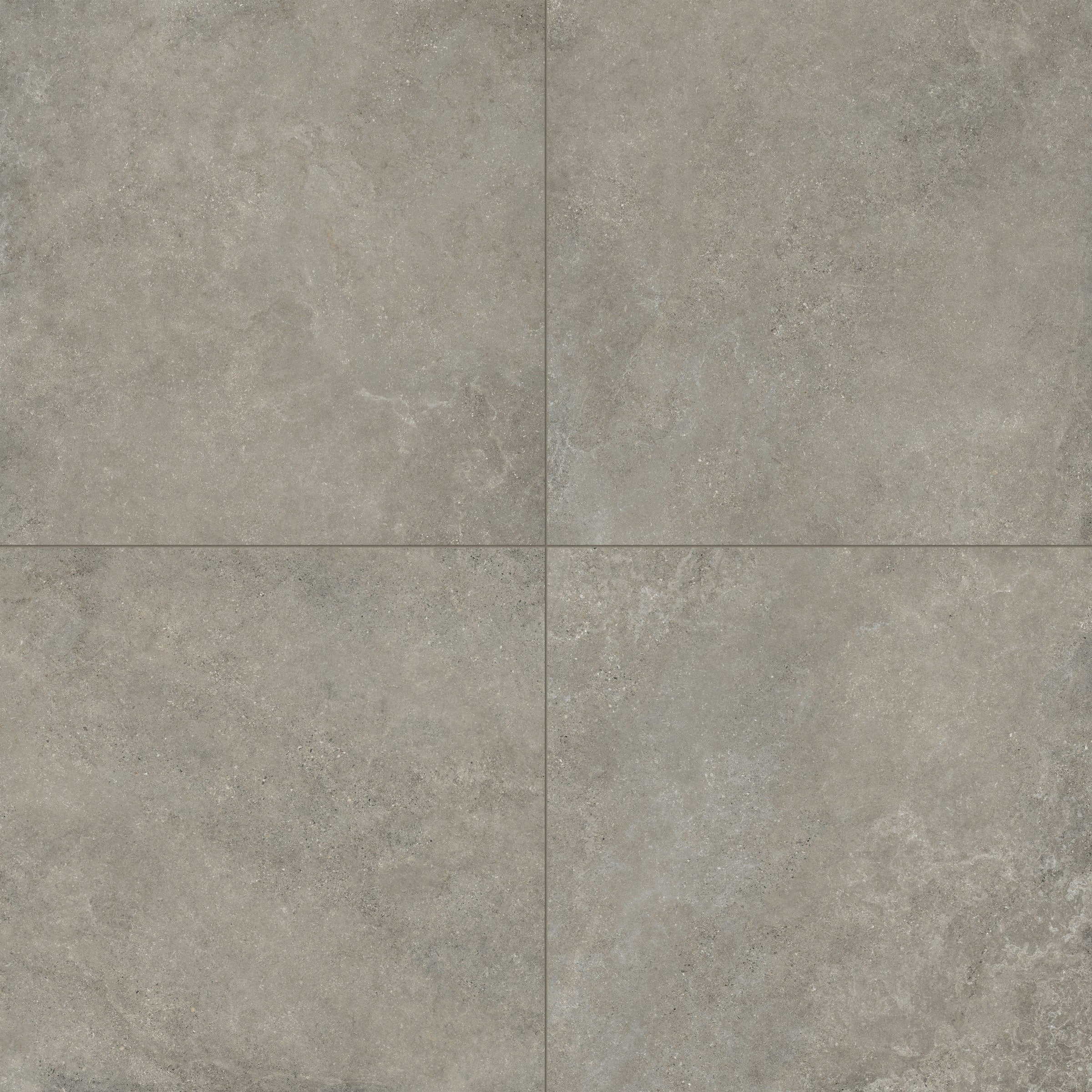 Untamed™ 48x48 Matte Porcelain Tile in Wander Ash