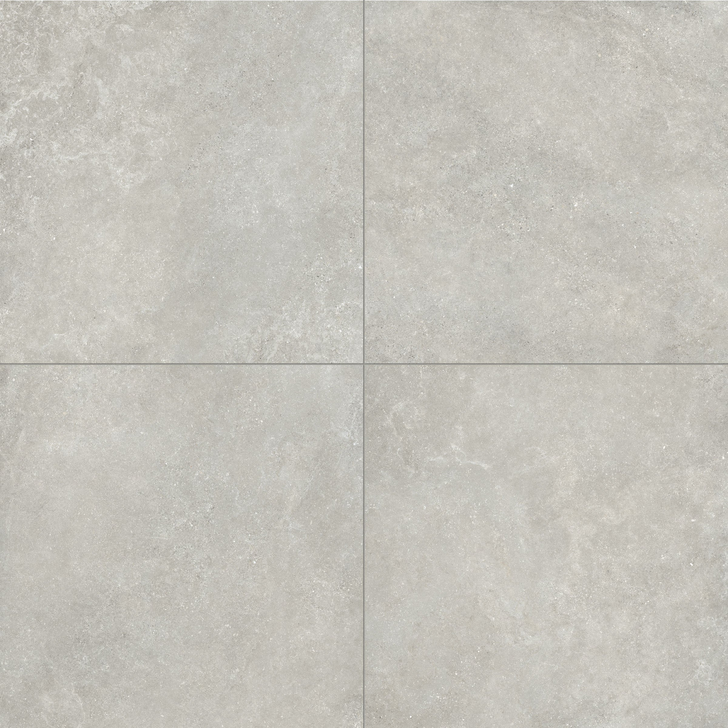 Untamed™ 48x48 Matte Porcelain Tile in Wander Cool